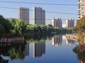 揭秘劉伯溫一肖一內(nèi)碼期期準(zhǔn)的秘密，劉伯溫一肖一內(nèi)碼期期準(zhǔn)的秘密揭秘