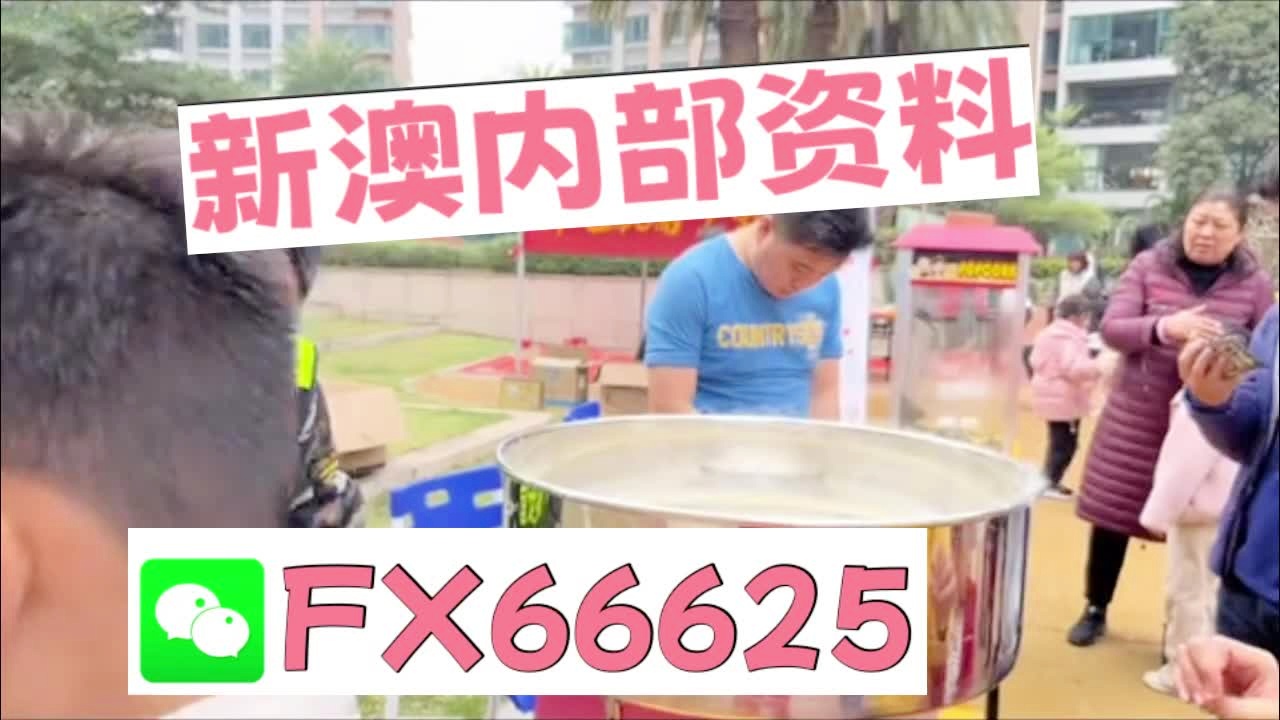 新奧2025正版資料大全，全面解析與深度探索，新奧2025正版資料大全，全面解析與深度探索揭秘