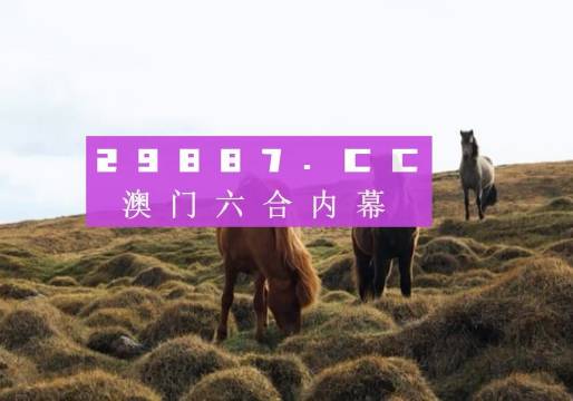 今晚澳門9點35分的彩票開獎，期待與驚喜交織的時刻，澳門今晚9點35分彩票開獎，期待與驚喜交匯的時刻
