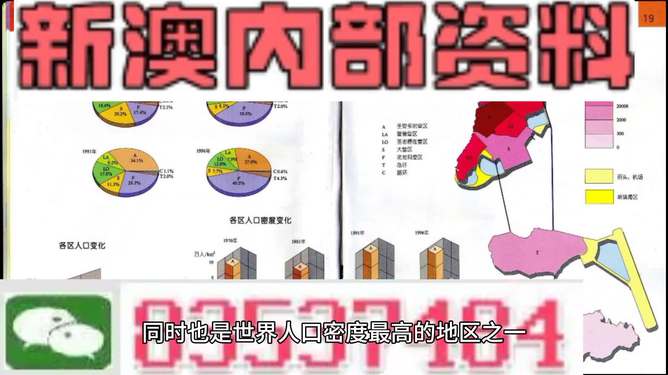 2025年新澳正版資料查詢方法詳解，2025年新澳正版資料查詢方法指南