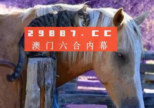 澳門一肖一碼一待一中四不像，探索與解析，澳門一肖一碼一待一中四不像，深度解析與探索