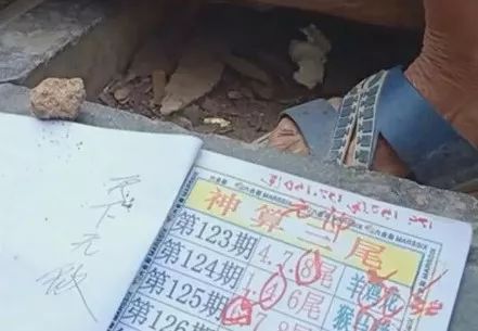 香港中特期期準(zhǔn)資料，深度解析與探索，香港中特期期準(zhǔn)資料深度解析與探索報(bào)告