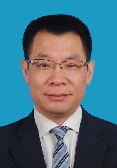2024新奧正版資料免費(fèi)獲取指南，2024新奧正版資料免費(fèi)獲取攻略