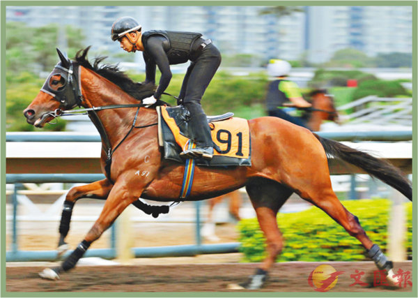 香港賽馬，探索數(shù)字背后的激情與榮耀，香港賽馬，數(shù)字背后的激情與榮耀之旅