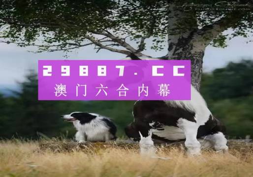澳門天天空彩官網(wǎng)資料，探索彩票世界的門戶，澳門天天空彩官網(wǎng)資料，彩票世界探索門戶