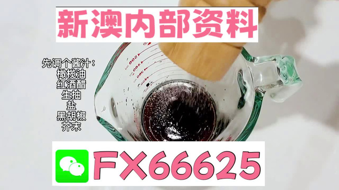 2025年新澳正版免費料，全面解析與獨家資訊，獨家解析，揭秘新澳正版免費料獨家資訊至2025年