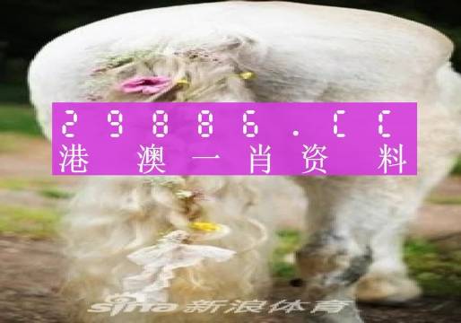 澳門羊了個羊與各大圖庫的資料揭秘，2023年澳門今晚必中一肖一碼永久免費資料庫大解密，澳門羊了個羊與資料庫揭秘，2023年必中一肖一碼永久免費資料大解密