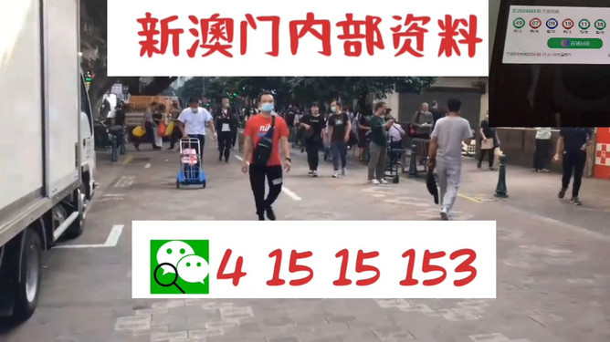 澳門管家婆，揭秘一種獨(dú)特的文化現(xiàn)象與娛樂體驗(yàn)，澳門管家婆，文化現(xiàn)象與娛樂體驗(yàn)的揭秘