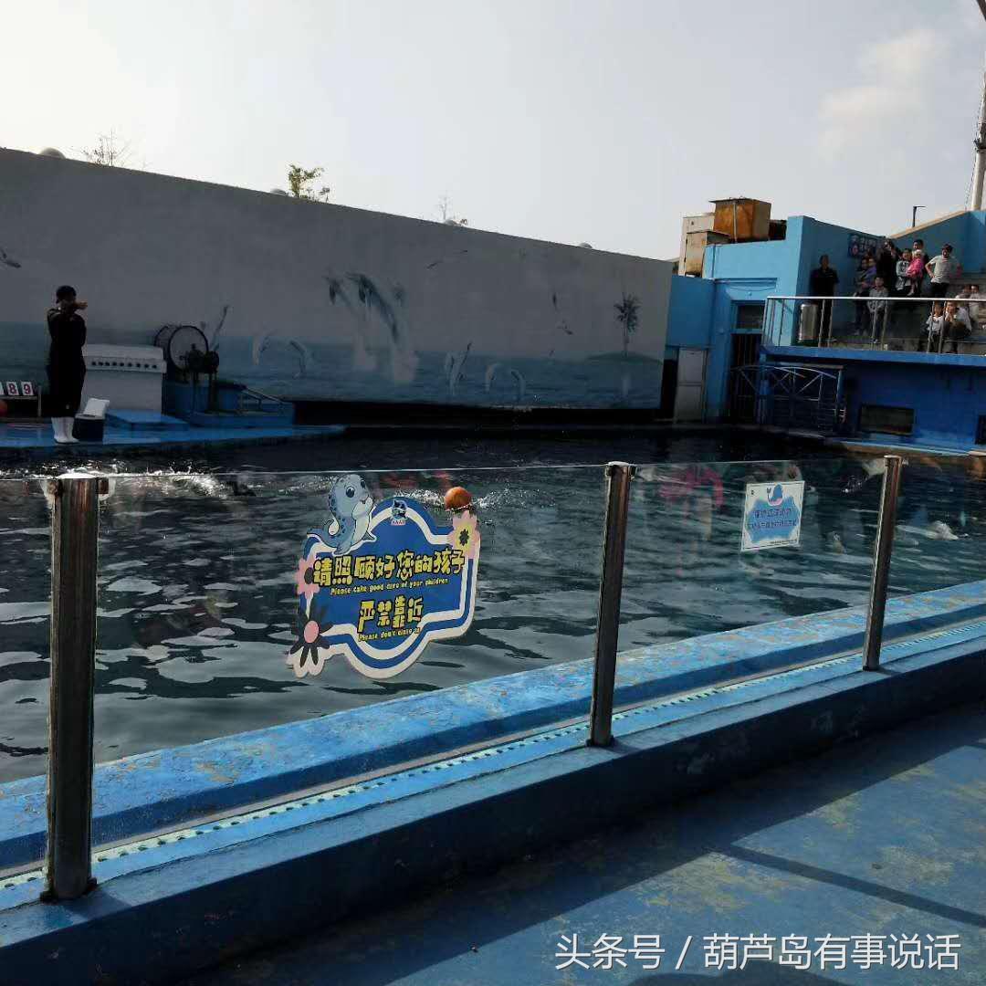 揭秘9點30分彩新澳，全方位解讀彩票新玩法，揭秘9點30分彩新澳，全方位解讀彩票新玩法攻略