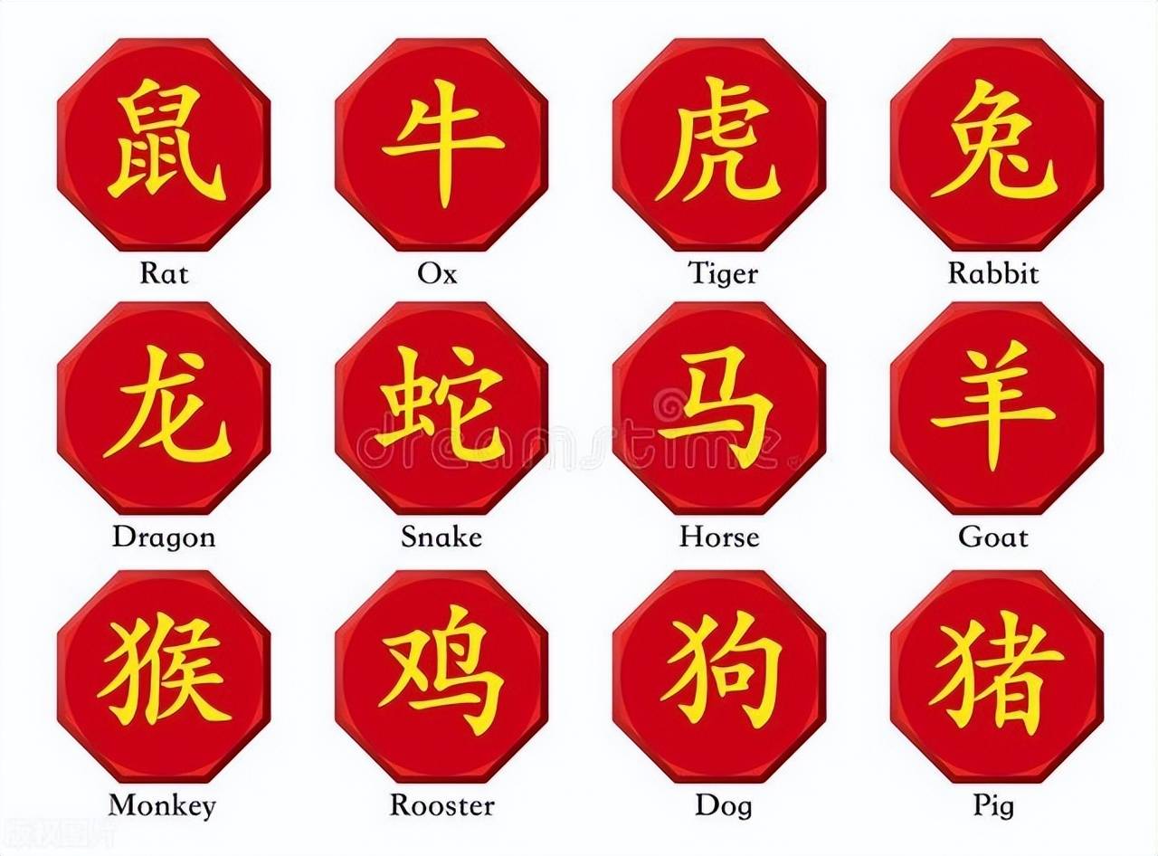 新澳特碼，羊?；⒏鲾?shù)10——揭秘背后的數(shù)字奧秘，揭秘新澳特碼數(shù)字奧秘，羊牛虎各數(shù)背后的秘密