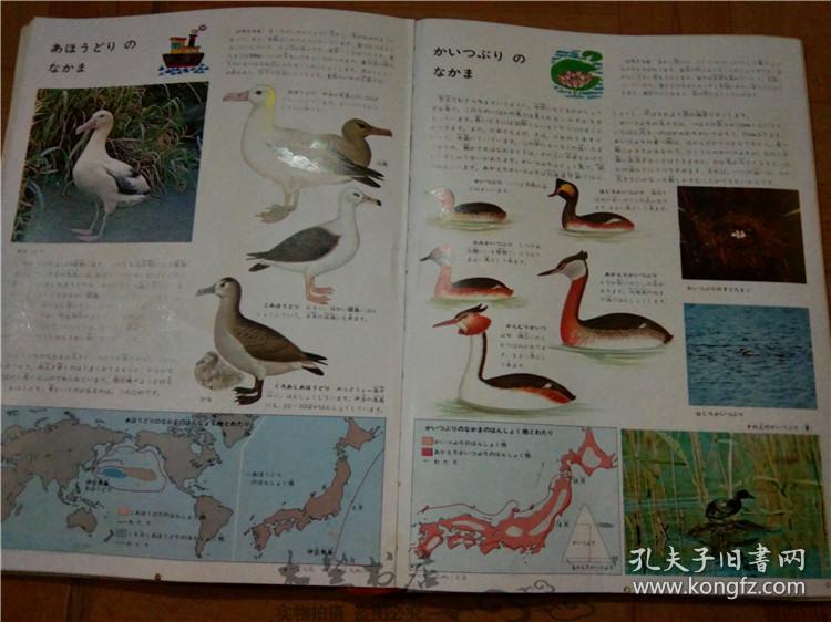 今日正版跑狗圖分享，探索7777788888跑狗圖的魅力，今日正版跑狗圖分享，探索魅力十足的777778跑狗圖