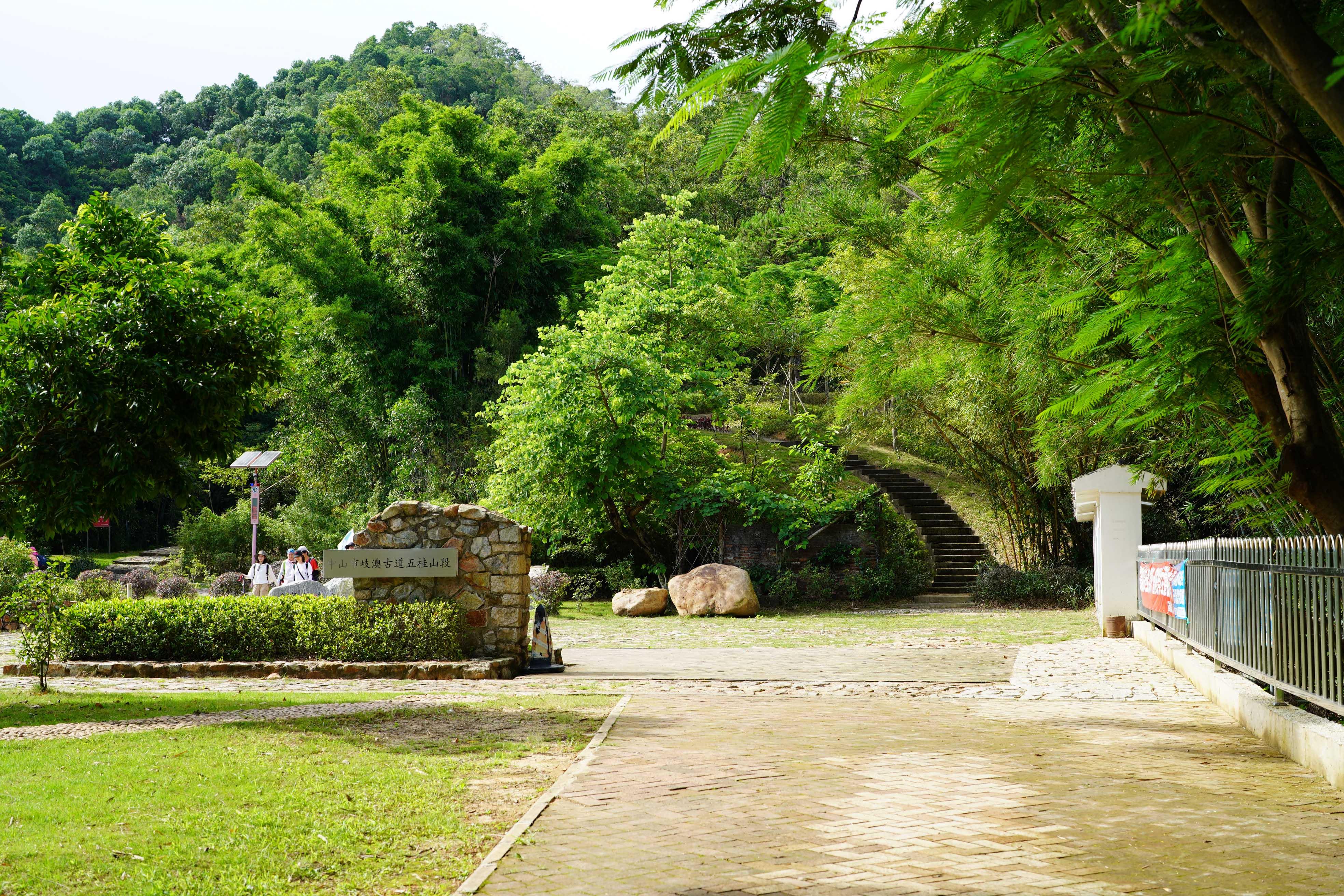 新澳門彩生肖走勢(shì)圖，探索與解讀彩票背后的秘密，探索解讀新澳門彩生肖走勢(shì)圖，彩票背后的秘密揭秘