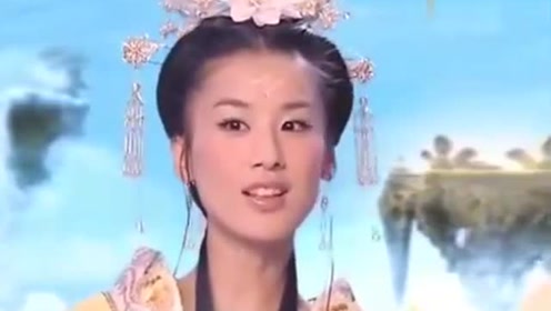 曾道道人資料免費大全，深度探索與解析，曾道道人資料深度解析與免費大全探索