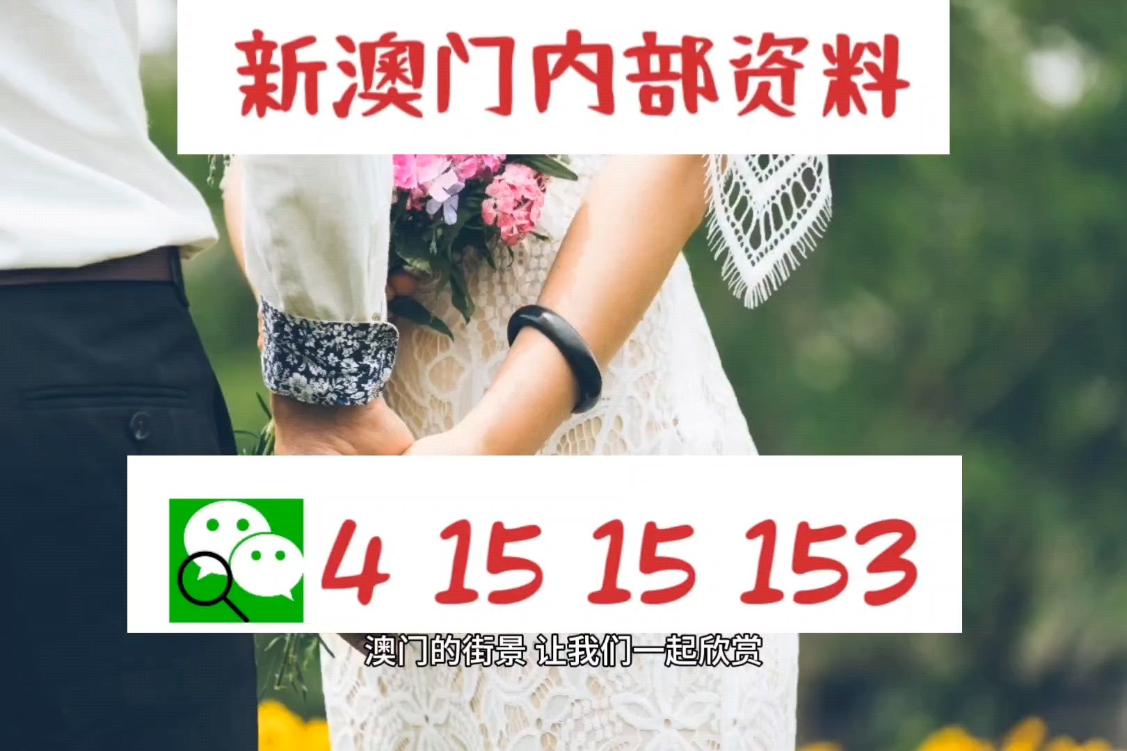 澳門九龍圖庫2025年104期預(yù)測——深度解析與前瞻，澳門九龍圖庫2025年深度解析與前瞻，第104期預(yù)測報告發(fā)布
