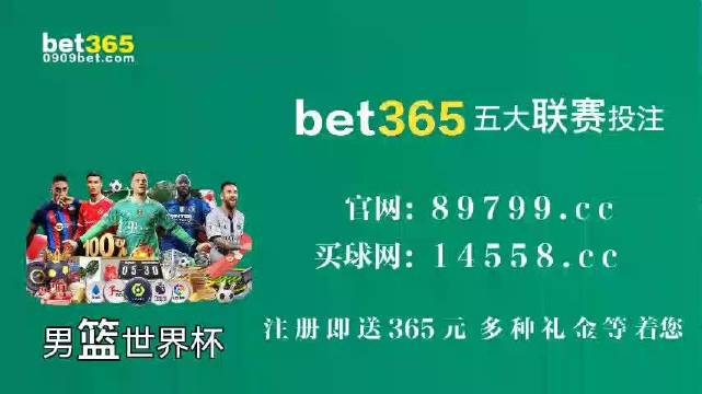 王中王中特馬王中王精準(zhǔn)資料解析與SEO優(yōu)化策略探討，王中王中特馬精準(zhǔn)資料解析與SEO策略探討