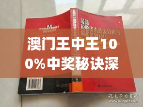 新澳門王中王期期中，探索與解析，新澳門王中王期期中，深度探索與解析