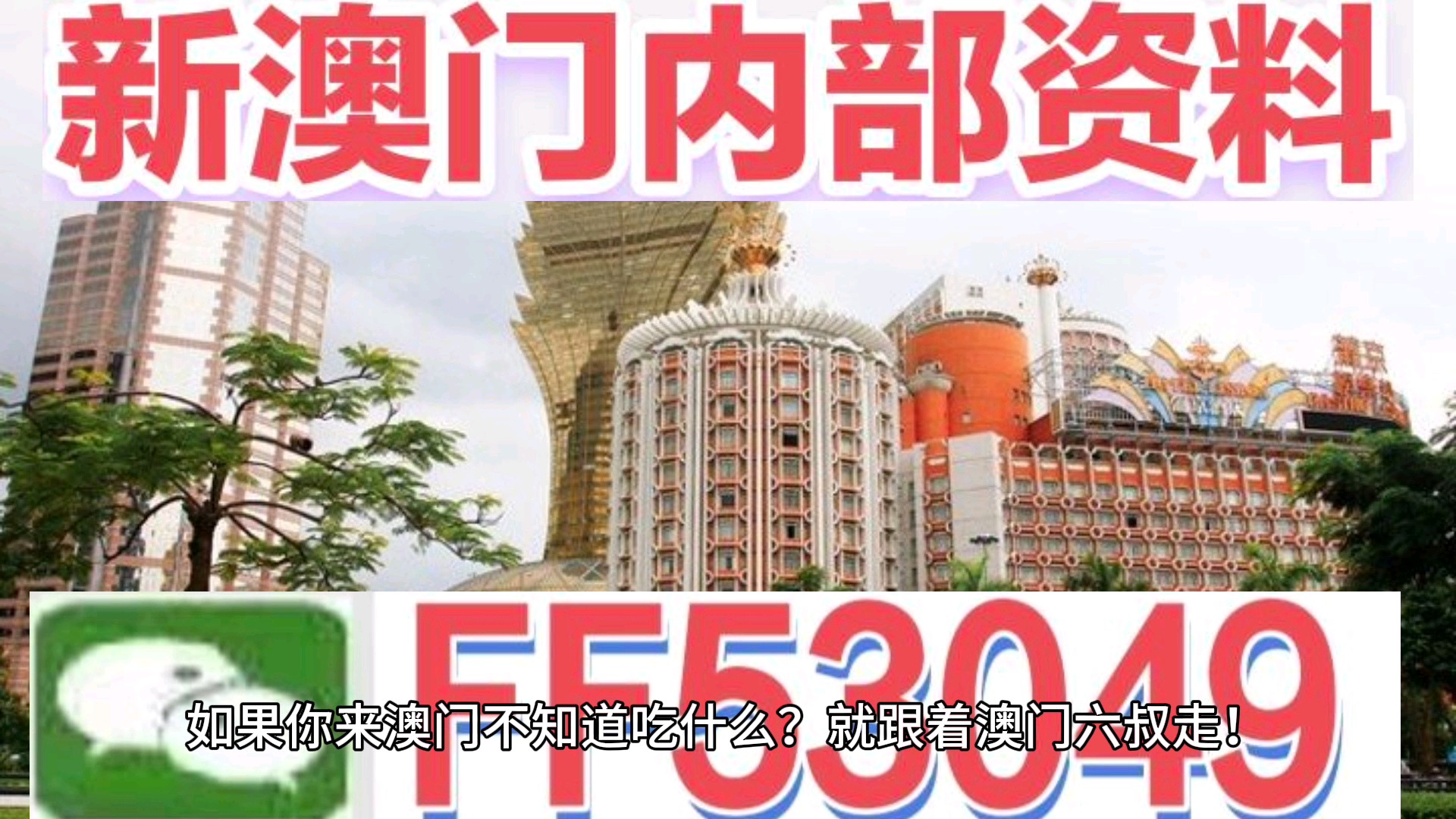 澳門今晚特馬生肖預(yù)測，探尋未來的幸運符號（2025年），澳門生肖預(yù)測揭秘，探尋未來幸運符號（特馬生肖預(yù)測 2025年展望）