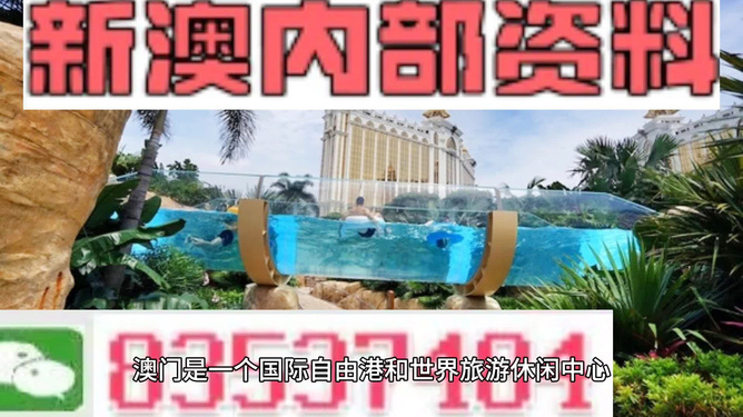 新澳的資料去哪里找——全面指南，新澳資料全攻略，尋找資料的途徑與指南