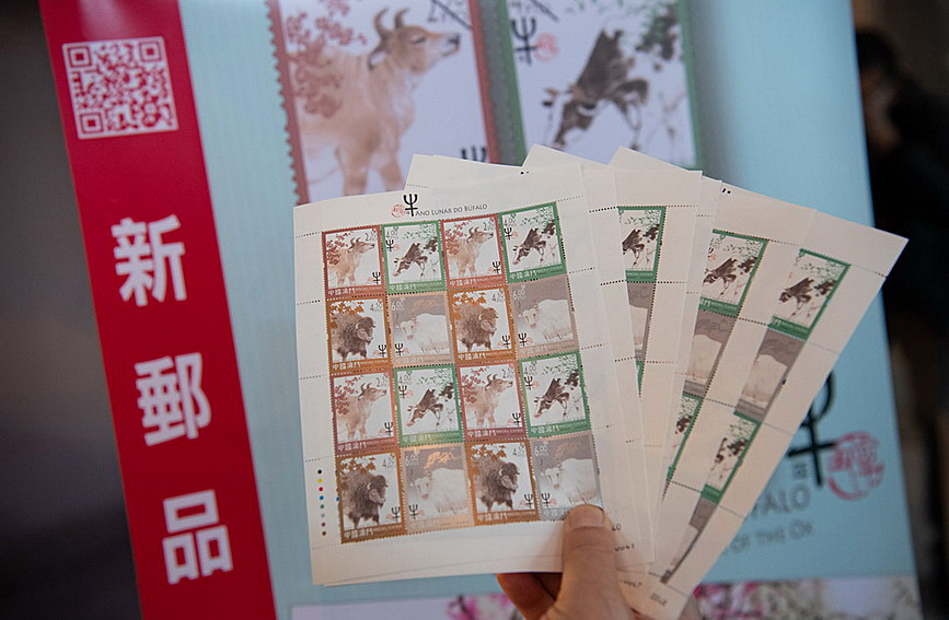 澳門值日生肖600圖庫與八百圖庫開獎，探索生肖圖庫的魅力與奧秘，澳門生肖圖庫開獎揭秘，探索值日生肖600圖庫與八百圖庫的魅力與奧秘