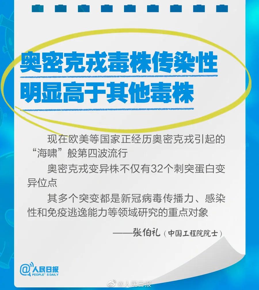 新奧2025最新資料大全，準(zhǔn)確資料全面解析，新奧2025最新資料大全，全面解析準(zhǔn)確資料一網(wǎng)打盡