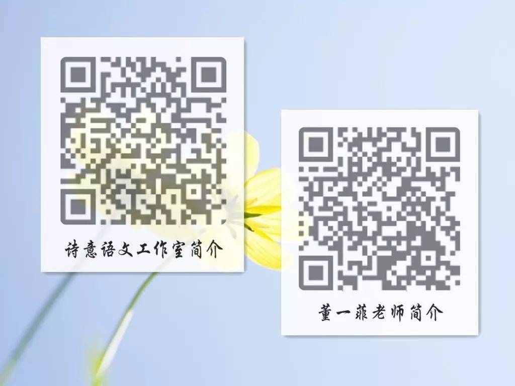 一碼一肖一特一，揭秘背后的秘密與獨特之處，揭秘一碼一肖一特一的獨特之處與背后秘密