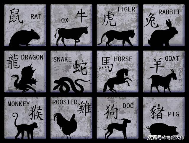 新澳特碼，羊?；⒏鲾?shù)10的獨特魅力與解析，新澳特碼，羊?；⒏鲾?shù)10的獨特魅力深度解析