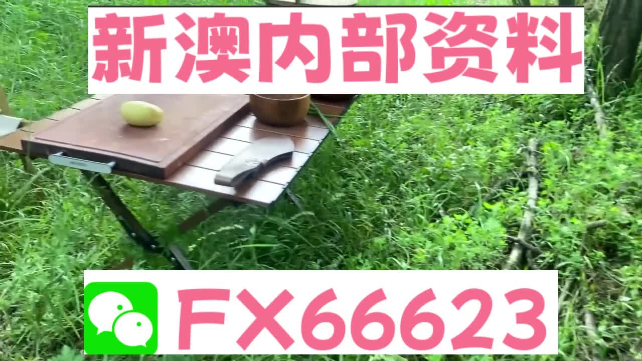 新奧特碼走勢(shì)圖解析與預(yù)測(cè)，新奧特碼走勢(shì)圖解析與預(yù)測(cè)，未來(lái)趨勢(shì)探討