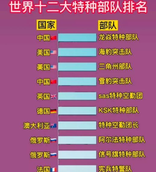 中國(guó)十大王牌特種部隊(duì)，實(shí)力與榮耀的象征，中國(guó)十大王牌特種部隊(duì)，實(shí)力與榮耀的巔峰標(biāo)志
