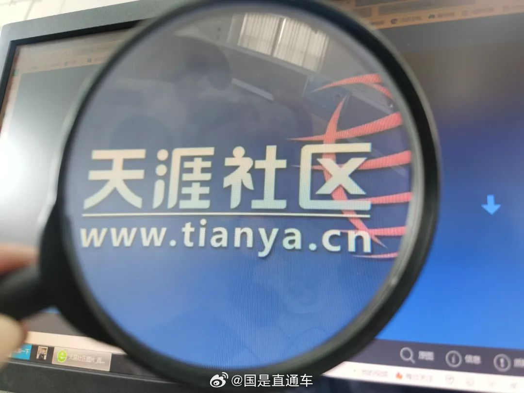 天涯國際觀察，全球視野下的深度分析與洞察，全球深度洞察，天涯國際觀察分析