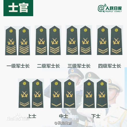全球各國軍士長軍銜對照表及其重要性，全球各國軍士長軍銜對照表，揭示其重要性
