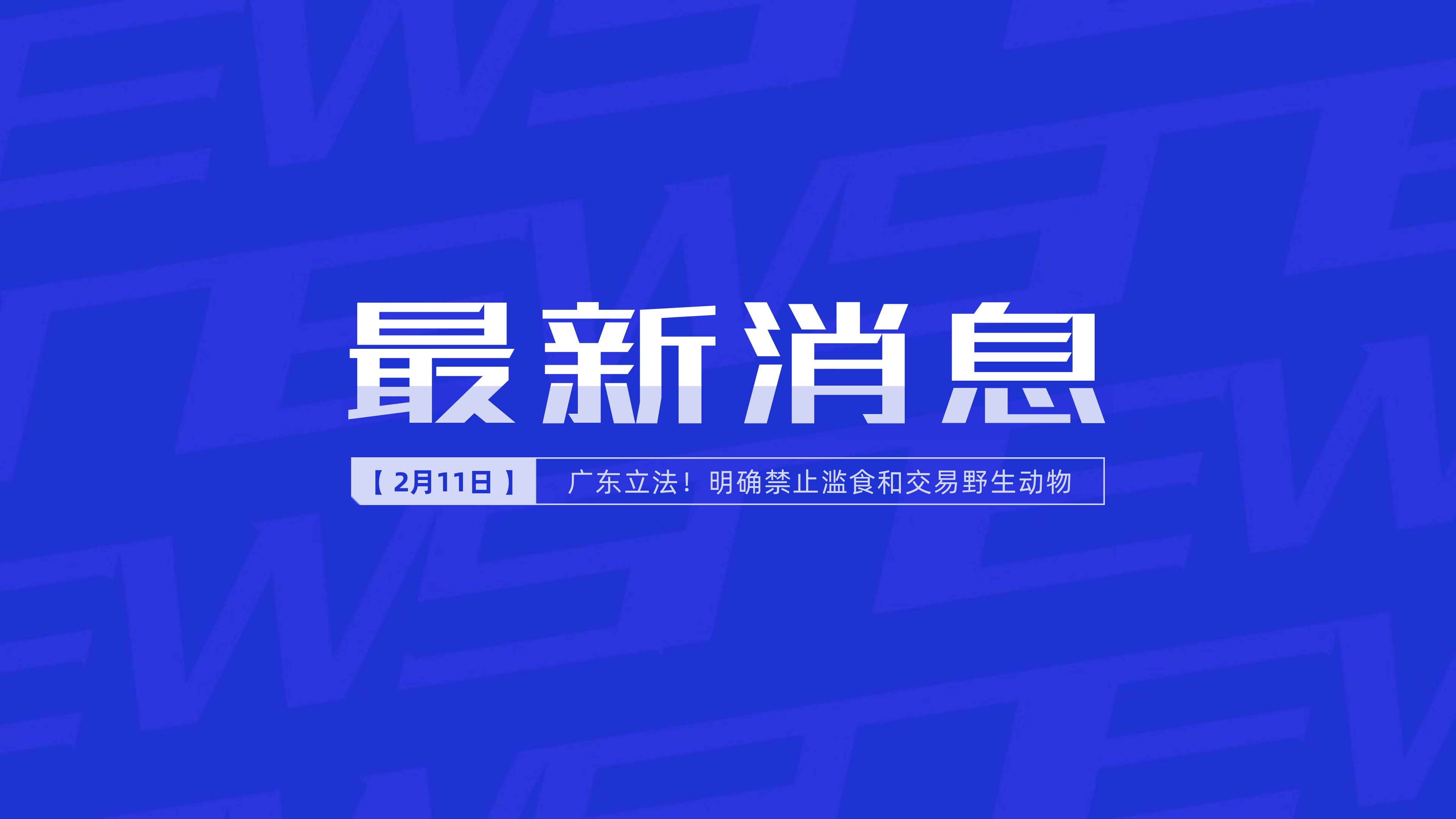 新聞最新新聞，掌握時事熱點，洞悉世界動態(tài)，時事熱點速遞，掌握全球最新動態(tài)新聞