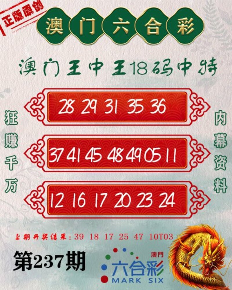 新澳門王中王期期中，探索與解析，新澳門王中王期期中，深度探索與解析