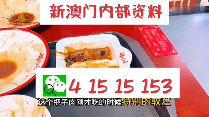 澳門王中王六碼新澳門，探索與解析，澳門王中王六碼新澳門，深度探索與解析