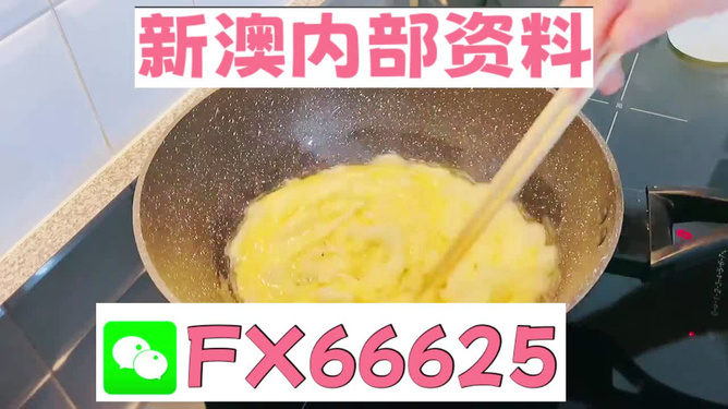 澳門九點半9點半網(wǎng)站——探索與體驗，澳門九點半網(wǎng)站，探索與體驗之旅