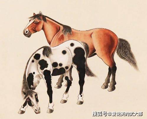 香港四不像一肖生肖圖，揭秘背后的神秘文化，香港四不像一肖生肖圖，神秘文化背后的揭秘