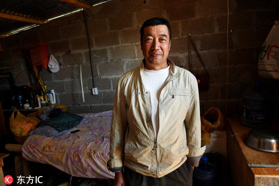 博科圣地組織，深度解析與理解，博科圣地組織深度解析與探究