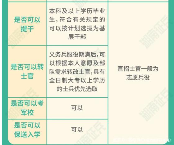 士官直招與義務兵的區(qū)別，深入了解軍隊招募制度，直招士官與義務兵招募制度深度解析，軍隊招募制度詳解