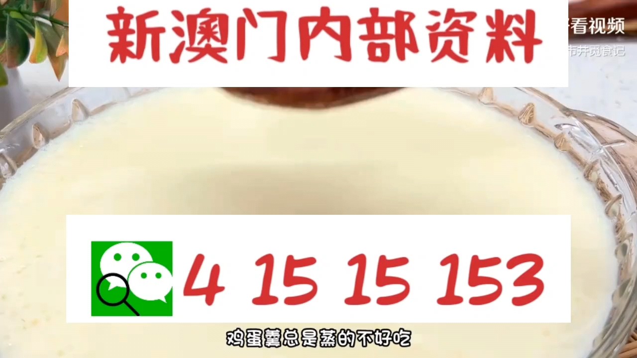 新澳門中特網(wǎng)中特馬，探索與解析，澳門中特馬探索與解析指南