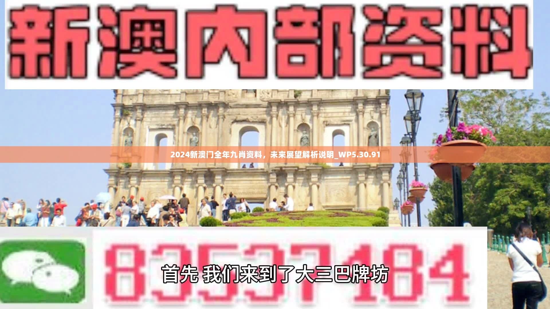 新澳門精準(zhǔn)九肖，揭秘預(yù)測(cè)技巧與策略，揭秘新澳門精準(zhǔn)九肖預(yù)測(cè)技巧與策略