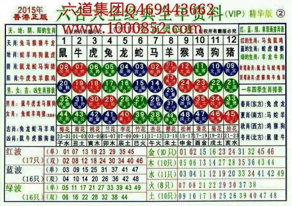 揭秘2024十二生肖49碼表——完整指南，揭秘十二生肖49碼表全攻略，2024年最新版指南