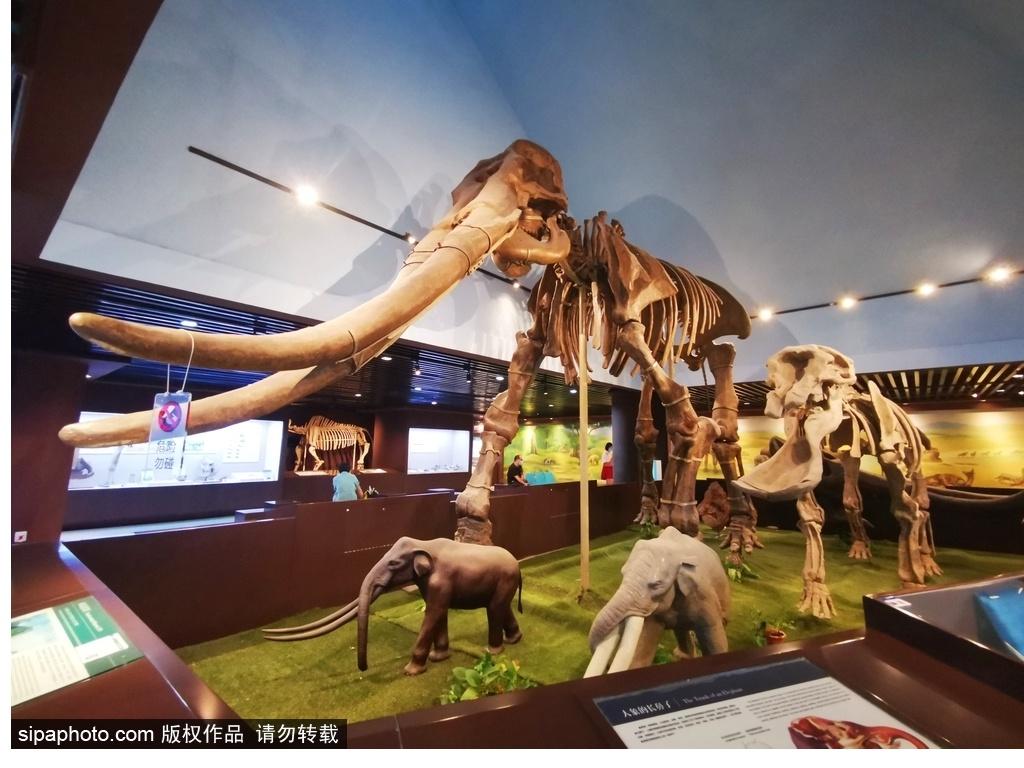 北京必去的十大博物館——探尋千年文化的精華之旅，北京必游十大博物館，千年文化精華之旅探尋記