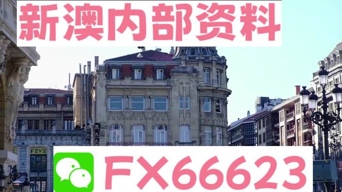 澳門六資料大全，深度探索與揭秘，澳門六資料大全，深度探索與揭秘之旅