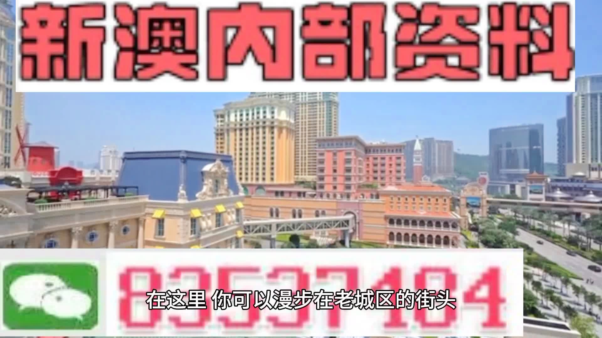 新澳門期期準精準，探索澳門的未來與SEO策略，澳門未來展望與SEO策略探索，精準瞄準新機遇