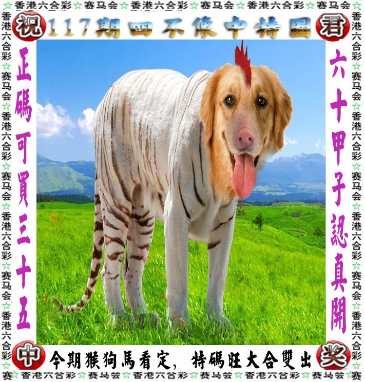 王中王四不像一肖論壇，探索神秘論壇的世界，王中王四不像一肖論壇，神秘論壇世界的探索之旅