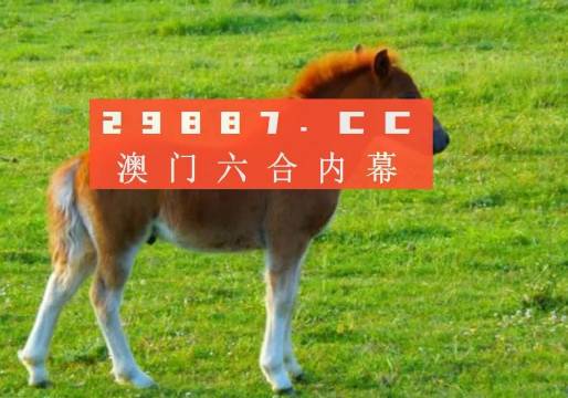 澳門答家婆一肖一馬一中一特，揭秘背后的秘密與獨(dú)特文化魅力，澳門文化魅力深度解析，答家婆一肖一馬一中一特的獨(dú)特傳統(tǒng)與秘密