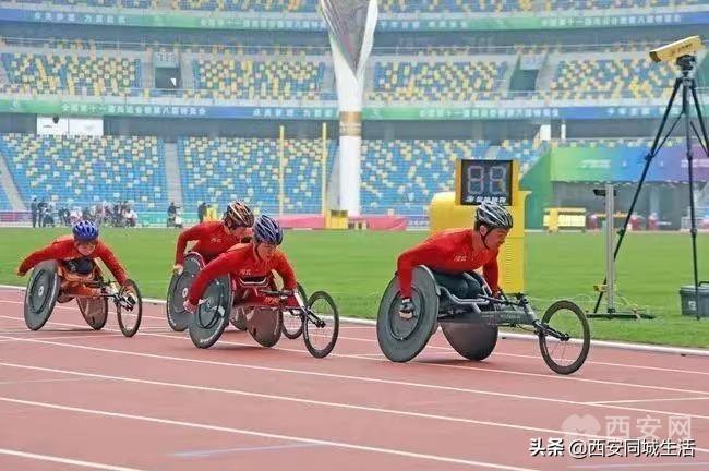 2025年澳門精準免費大全——全面解析澳門未來展望與特色體驗，澳門未來展望與特色體驗解析，澳門精準免費大全（2025版）
