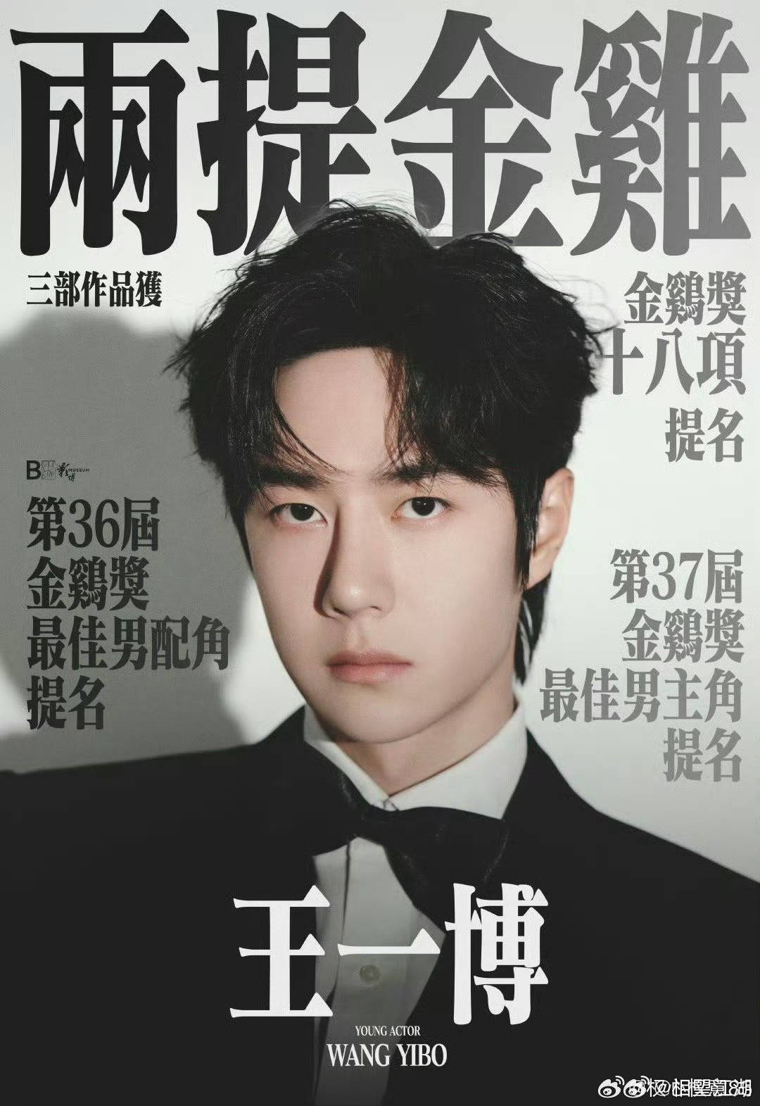 王中王一肖中特論特，深度解析與SEO洞察，深度解析王中王一肖中特論特與SEO洞察