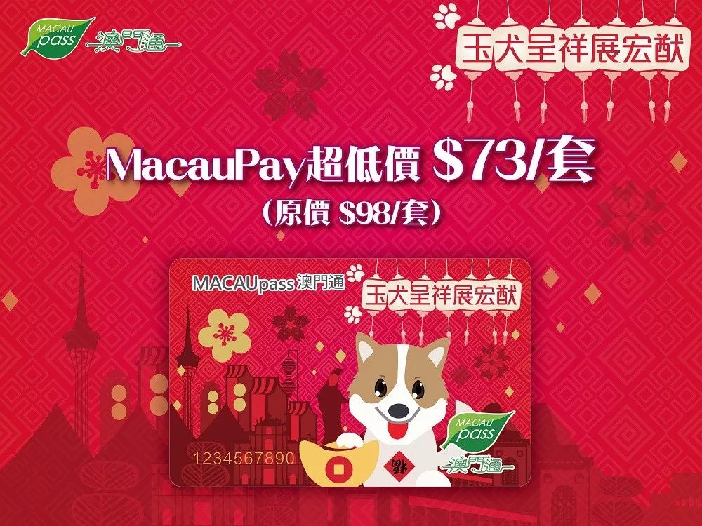 澳門生肖卡，探索未來的趨勢(shì)與機(jī)遇（2025年展望），澳門生肖卡，未來趨勢(shì)與機(jī)遇展望（2025年）