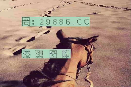香港特馬資料王中王24期，深度解析與探索，香港特馬資料王中王深度解析與探索，第24期探索之旅