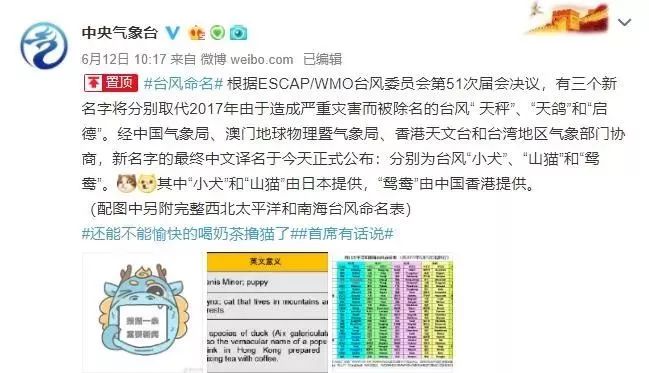 新澳門必中三肖三碼三期必開劉伯，揭秘彩票背后的秘密與策略，揭秘彩票背后的秘密與策略，劉伯的新澳門三期必開三肖三碼預(yù)測技巧
